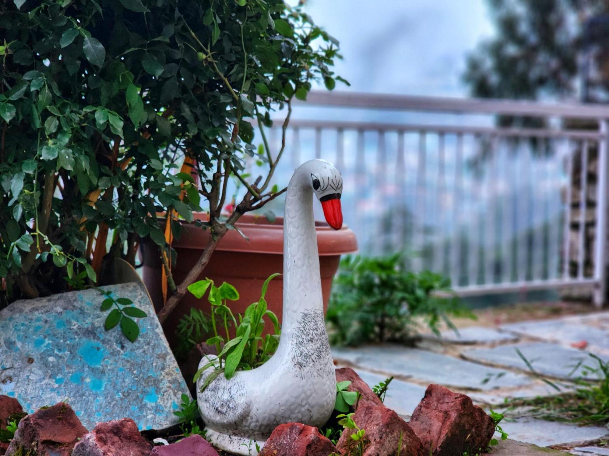Aaram Baagh Simla Appartement Buitenkant foto
